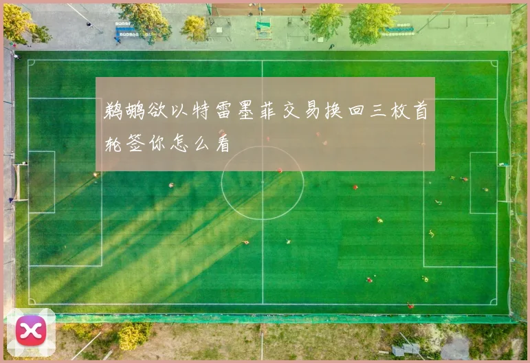 鹈鹕欲以特雷墨菲交易换回三枚首轮签你怎么看