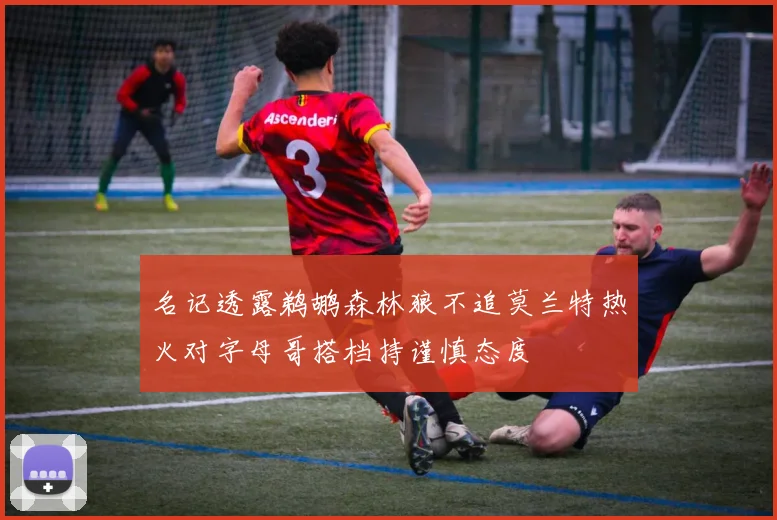 名记透露鹈鹕森林狼不追莫兰特热火对字母哥搭档持谨慎态度
