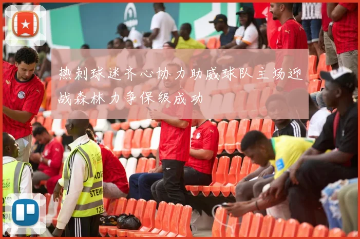 热刺球迷齐心协力助威球队主场迎战森林力争保级成功
