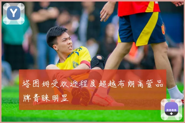 塔图姆受欢迎程度超越布朗高管品牌青睐明显